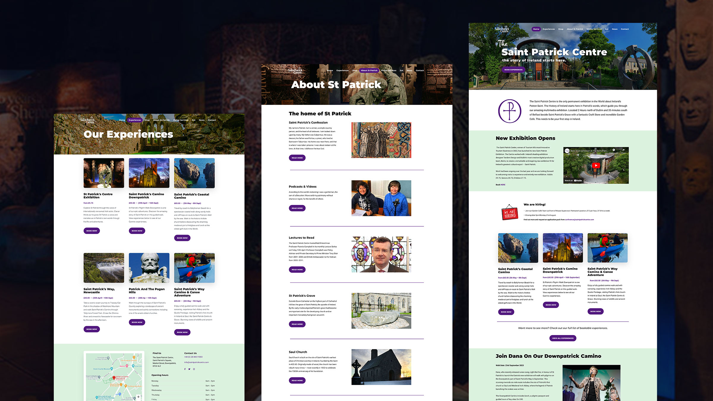 St Patrick Centre Website Design by Element Seven responsive, modern