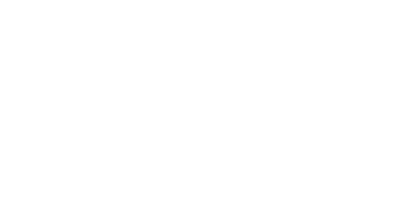 Wild Youth logo